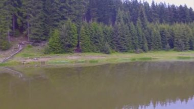 Küçük bir göl su üzerinde uçuş