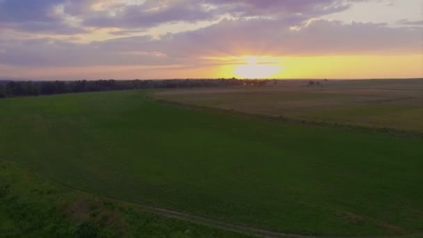 Suspension bridge aerial view — Stock Video