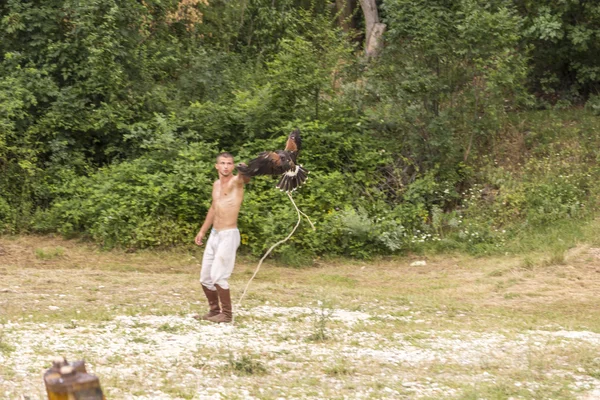 Så tuktas en Falk — Stockfoto