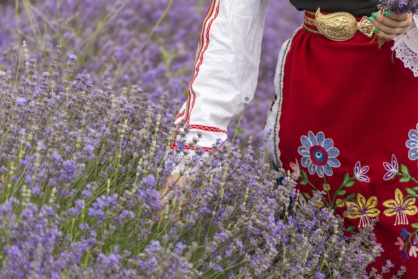 Bulgarian girl in a lavender field — Stock Photo, Image