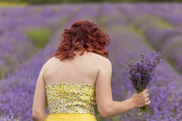 Fille dans un champ de lavande — Photo