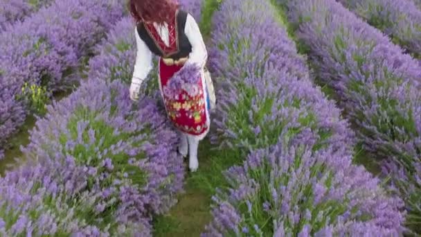 Болгарська дівчина збирання лаванди — стокове відео