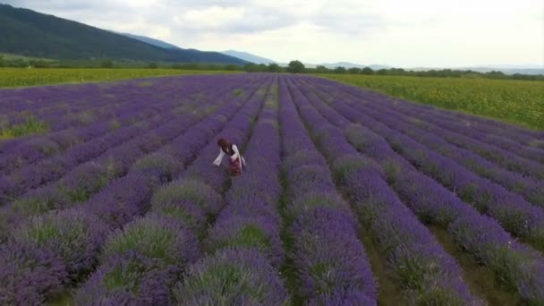 Bulgaarse meisje oogsten van lavendel — Stockvideo