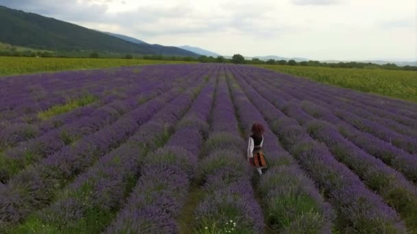 Mulher correndo em um campo de lavanda — Vídeo de Stock