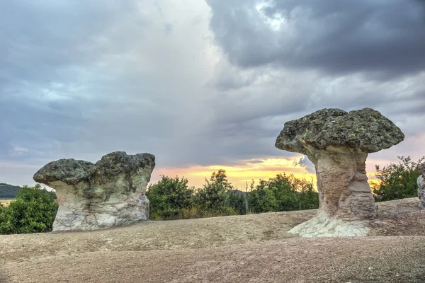 Mantar kaya fenomen — Stok fotoğraf