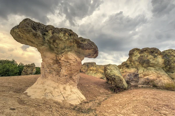 Mantar kaya fenomen — Stok fotoğraf