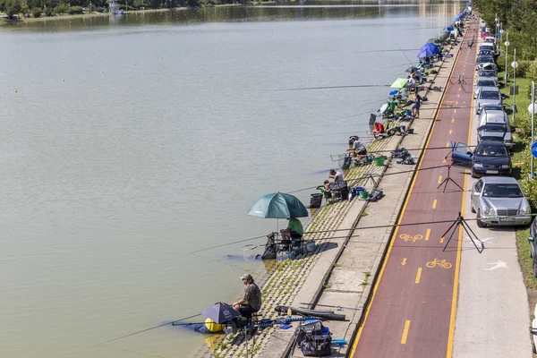 Torneio de pesca em Plovdiv, Bulgária — Fotografia de Stock