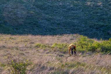 bir buket ile kadınlar