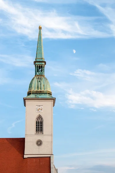 St. Martin Cathedral — Stock Photo, Image