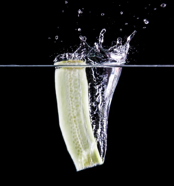 Komkommer undwerwater — Stockfoto