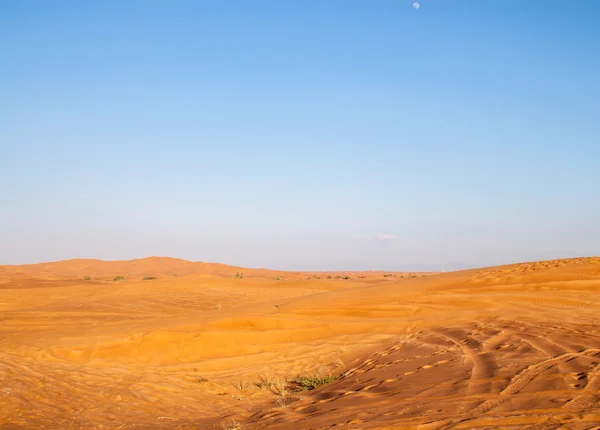 Safari in the Dubai desert — Stock Photo, Image