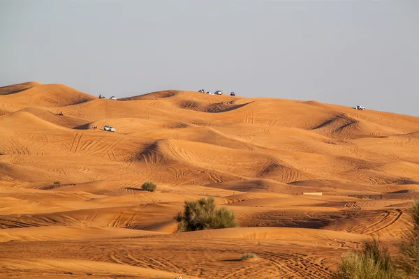 Safari in the Dubai desert — Stock Photo, Image