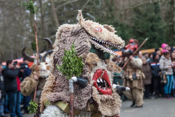 Kukeri - Colorful costumes and masks — Stock Photo, Image