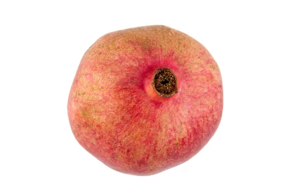 Granatäpple — Stockfoto