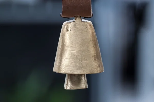 İnek ya da koyun çan