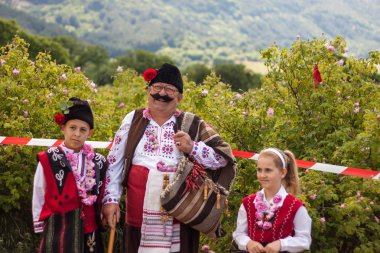 Festival toplama gül