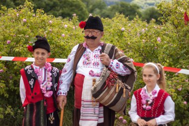 Festival toplama gül