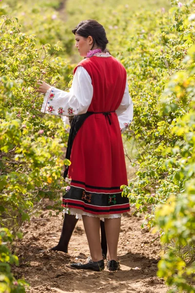 Tjejer poserar under Rose plockning festival i Bulgarien — Stockfoto