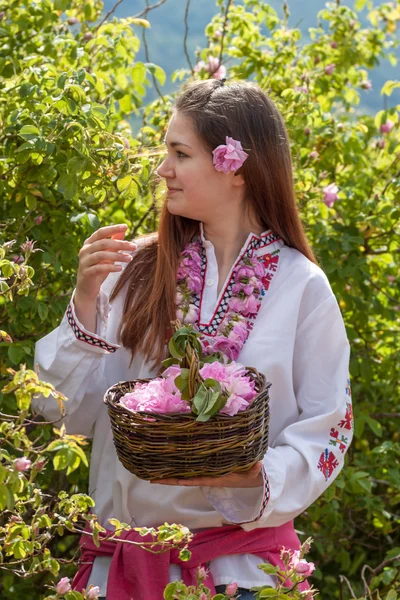 在保加利亚玫瑰采摘节期间构成的女孩 — 图库照片