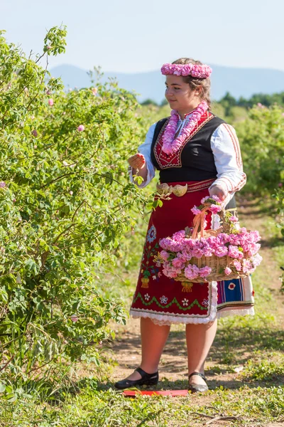 Дівчата позують під час фестивалю збирання троянди в Болгарії — стокове фото