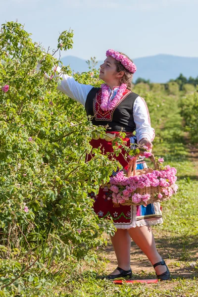 Mädchen posiert während des Rosenpflückens in Bulgarien — Stockfoto