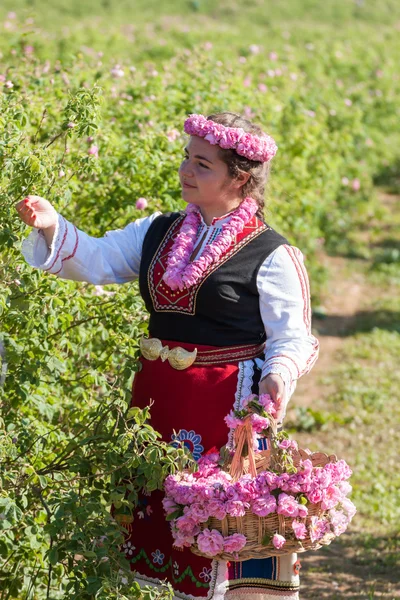 Mädchen posiert während des Rosenpflückens in Bulgarien — Stockfoto