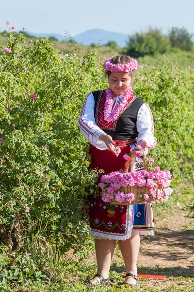 Девушка позирует на фестивале по сбору роз в Болгарии — стоковое фото