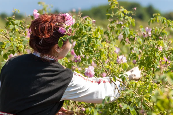 Girl posing during the Rose picking festival in Bulgaria — Stock Photo, Image