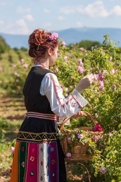 Girl posing during the Rose picking festival in Bulgaria — Stock Photo, Image