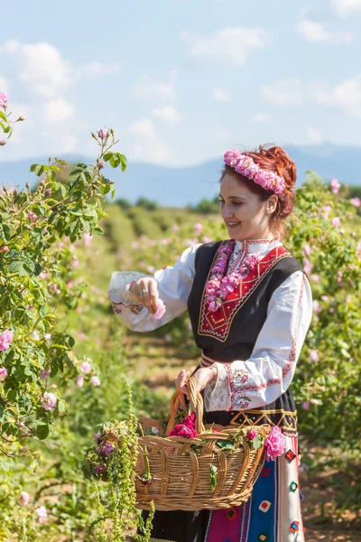 Bulgaristan gülü malzeme çekme Festivali sırasında poz kız — Stok fotoğraf