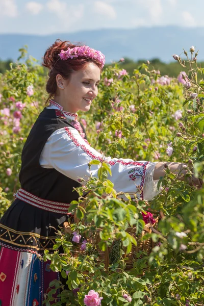 Bulgaristan gülü malzeme çekme Festivali sırasında poz kız — Stok fotoğraf