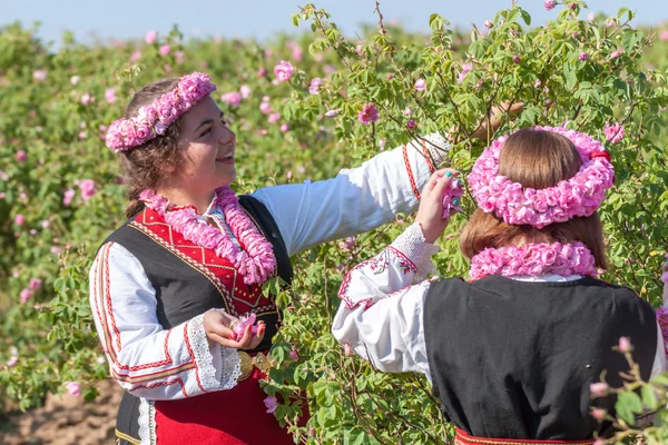 Bulgaristan gülü malzeme çekme Festivali sırasında poz kızlar - Stok İmaj