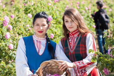 Bulgaristan gülü malzeme çekme Festivali sırasında poz kızlar