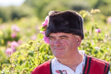 Festival toplama gül