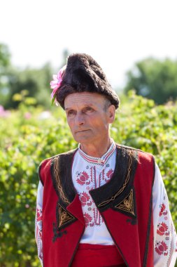 Festival toplama gül