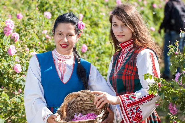 Meninas posando durante o festival Rose picking na Bulgária — Fotografia de Stock