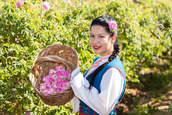 Mädchen posiert während des Rosenpflückens in Bulgarien — Stockfoto