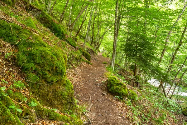 Eco όμορφη διαδρομή κοντά σε Devin, Βουλγαρία — Φωτογραφία Αρχείου