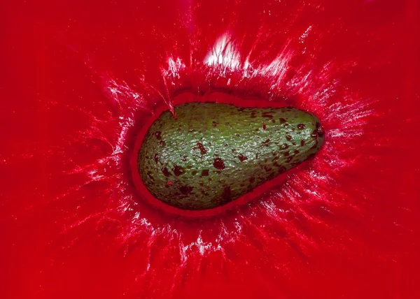 Πράσινα αβοκάντο σε κόκκινο νερό — Φωτογραφία Αρχείου