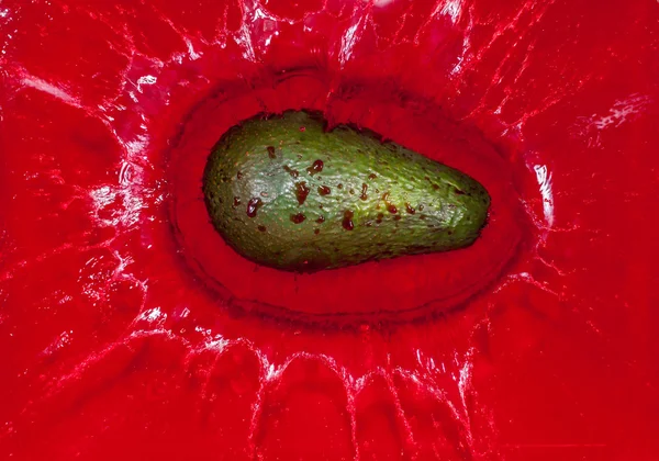 Green avocado in red water — Stock Photo, Image