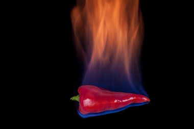 Red pepper on fire