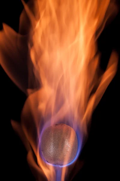 Kiwi on fire — Stock Photo, Image