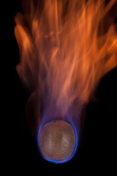 Kiwi w ogniu — Zdjęcie stockowe