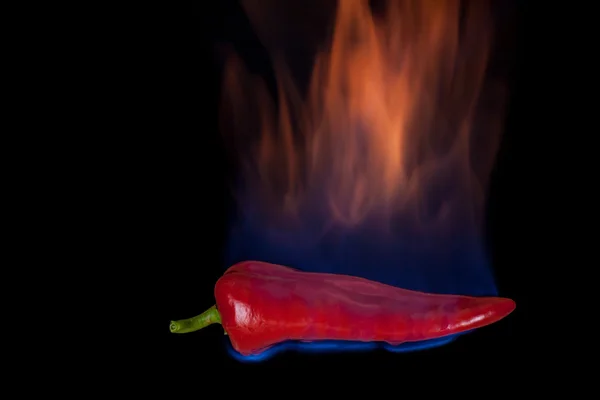 Red pepper on fire — Stock Photo, Image