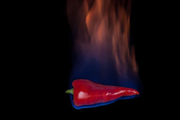 Red pepper on fire — Stock Fotó