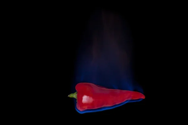 Red pepper on fire — Stock Photo, Image