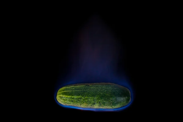Salatalık yanıyor — Stok fotoğraf