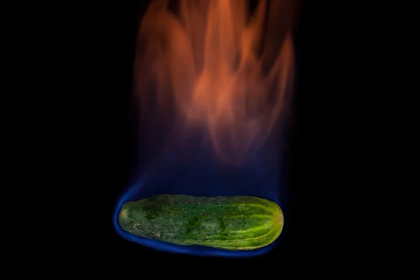 Salatalık yanıyor — Stok fotoğraf