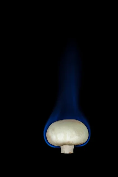 불에 버섯 — 스톡 사진