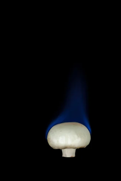 Mushroom on fire — Stock Photo, Image